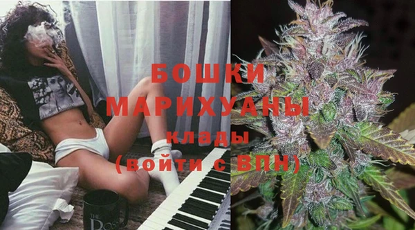 трава Надым