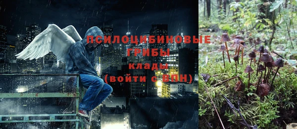 стаф Наволоки