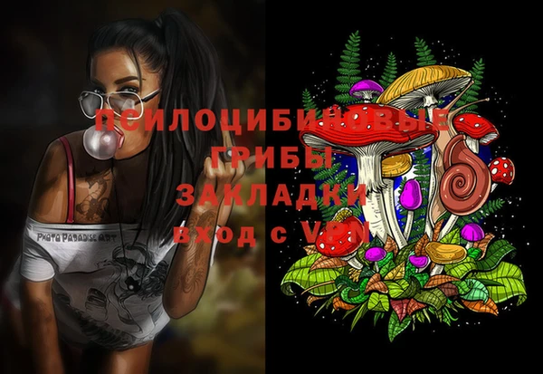 трава Надым