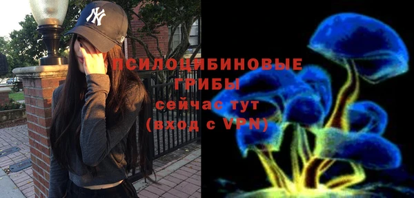 трава Надым