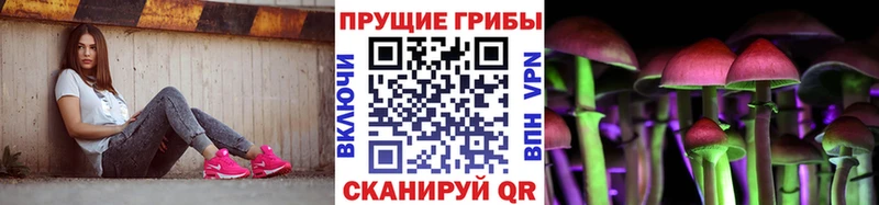 Псилоцибиновые грибы мицелий  даркнет сайт  нарко площадка состав  Воронеж 