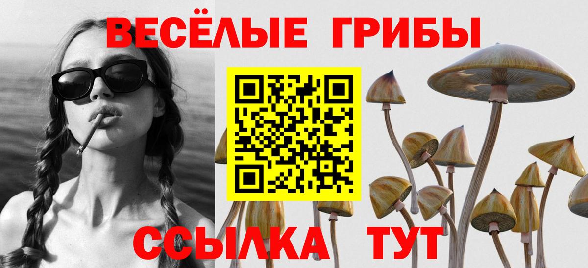 Галлюциногенные грибы Magic Shrooms Воронеж